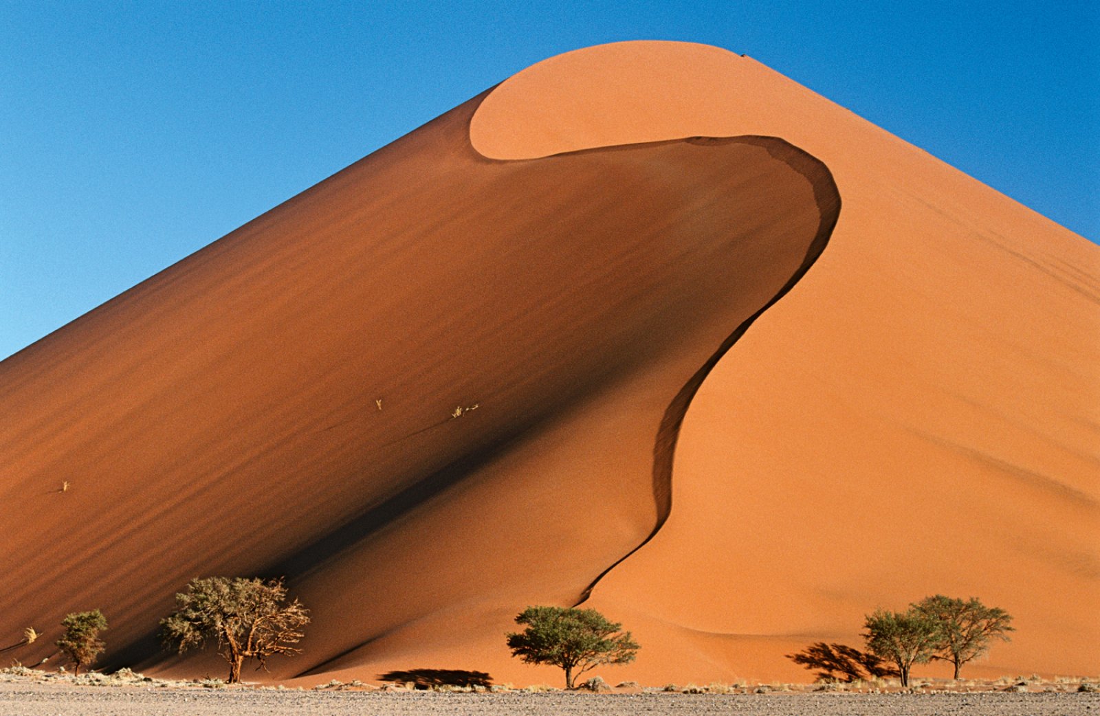 Namibia E Mare - Namibia, Deserto Del Namib