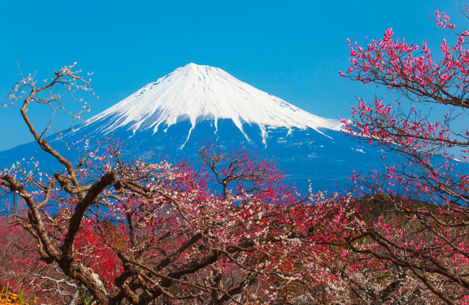 Voyager Kanji - Monte Fuji, Giappone