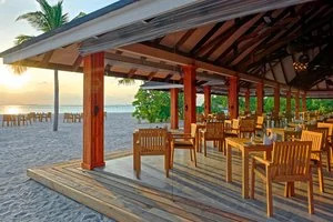 BRENNIA KOTTEFARU – Maldive