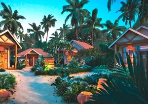 BRENNIA KOTTEFARU – Maldive