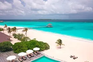 BRENNIA KOTTEFARU – Maldive