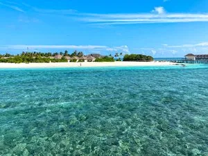 BRENNIA KOTTEFARU – Maldive