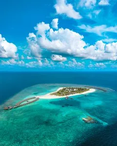 BRENNIA KOTTEFARU – Maldive
