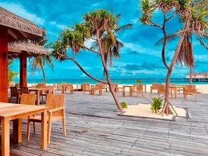 BRENNIA KOTTEFARU – Maldive