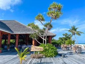 BRENNIA KOTTEFARU – Maldive
