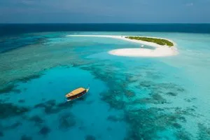 BRENNIA KOTTEFARU – Maldive