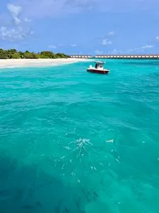 BRENNIA KOTTEFARU – Maldive