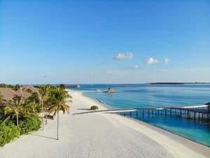 BRENNIA KOTTEFARU – Maldive
