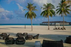 BRENNIA KOTTEFARU – Maldive