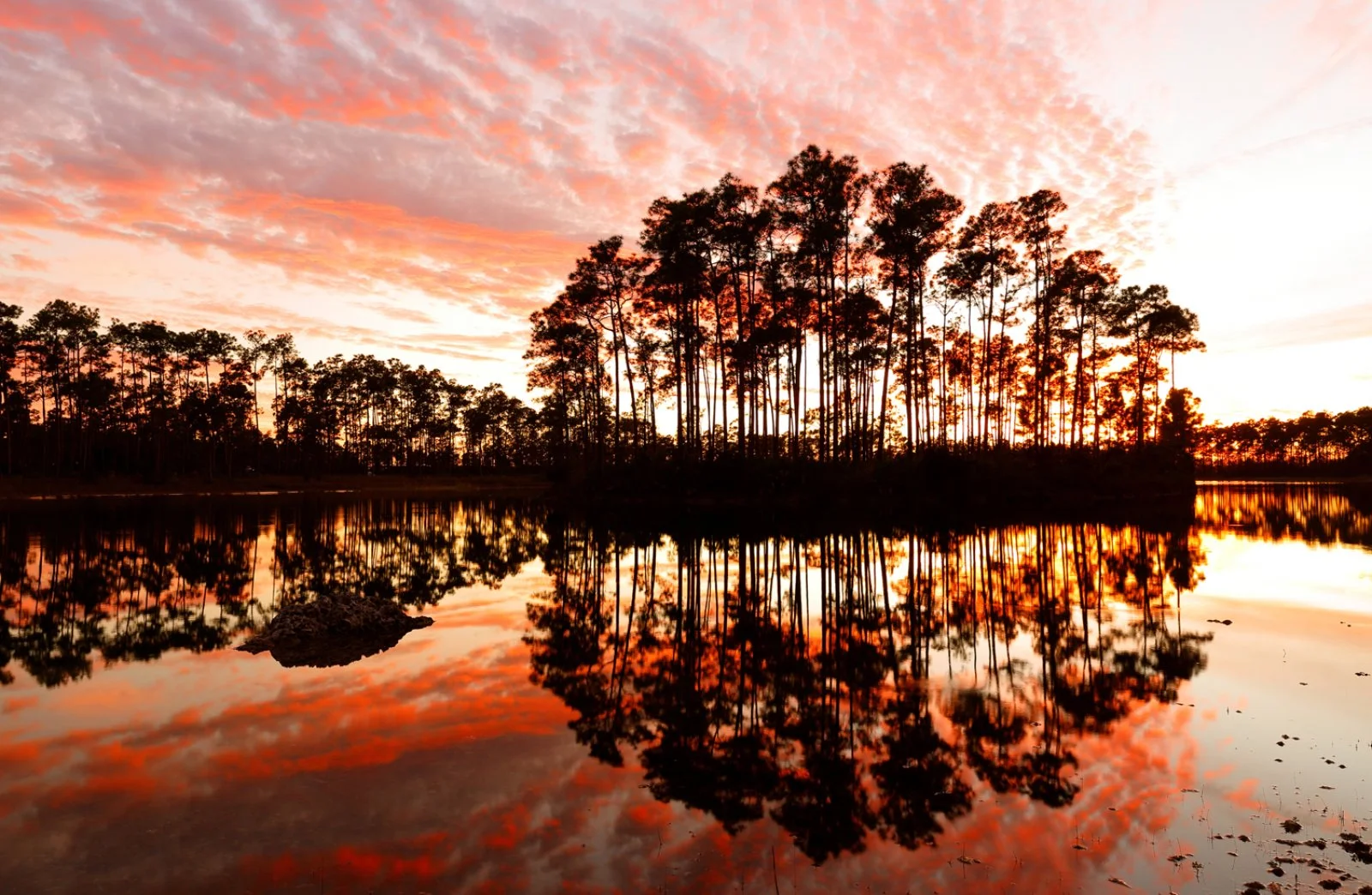 Everglades National Park
