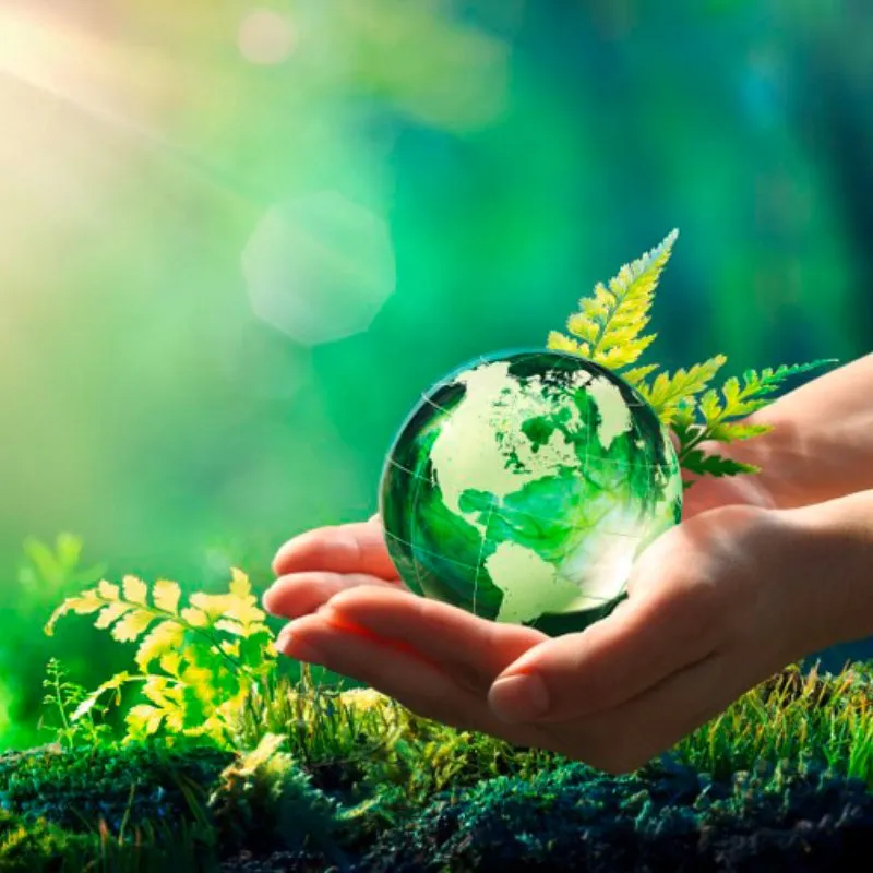 GREEN SOUL