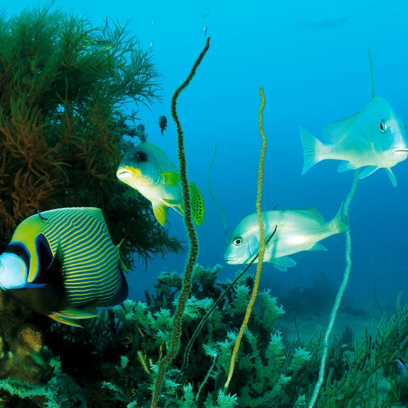 ESCURSIONE GRATUITA SPOSI