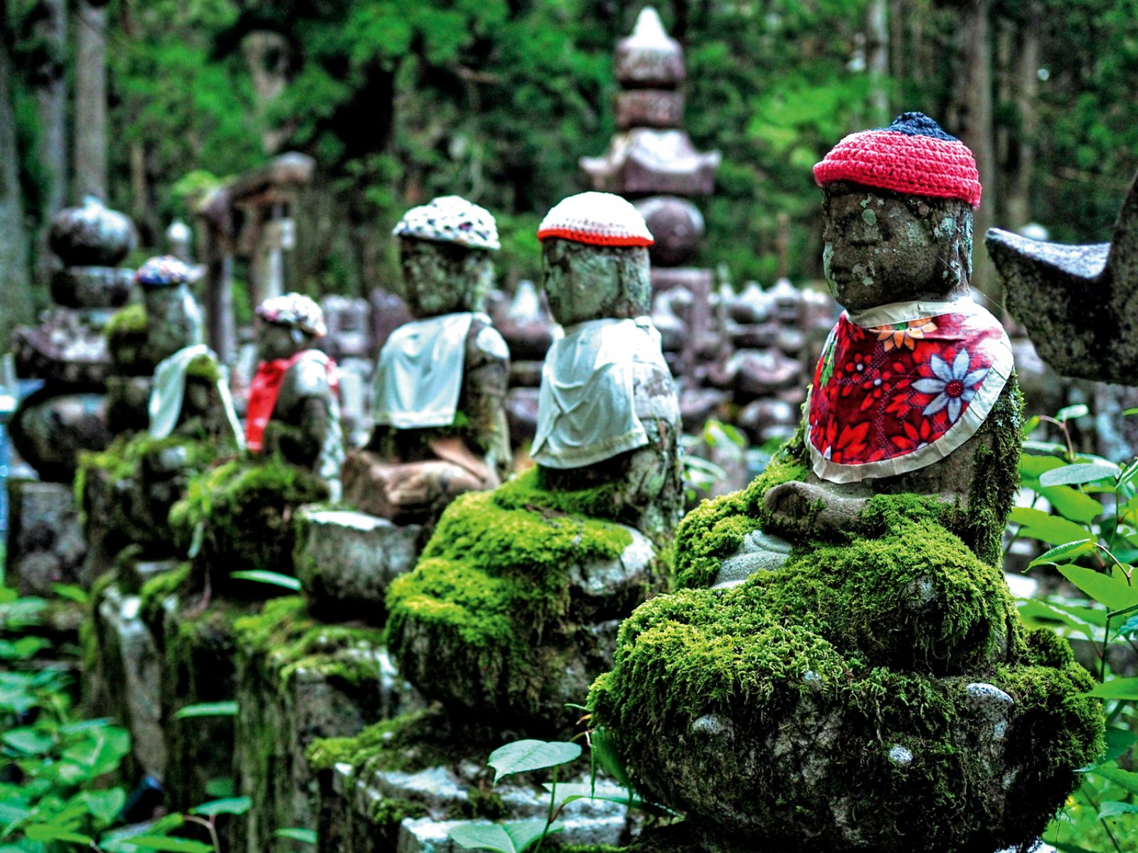 Shikoku E Il Mare Di Seto 