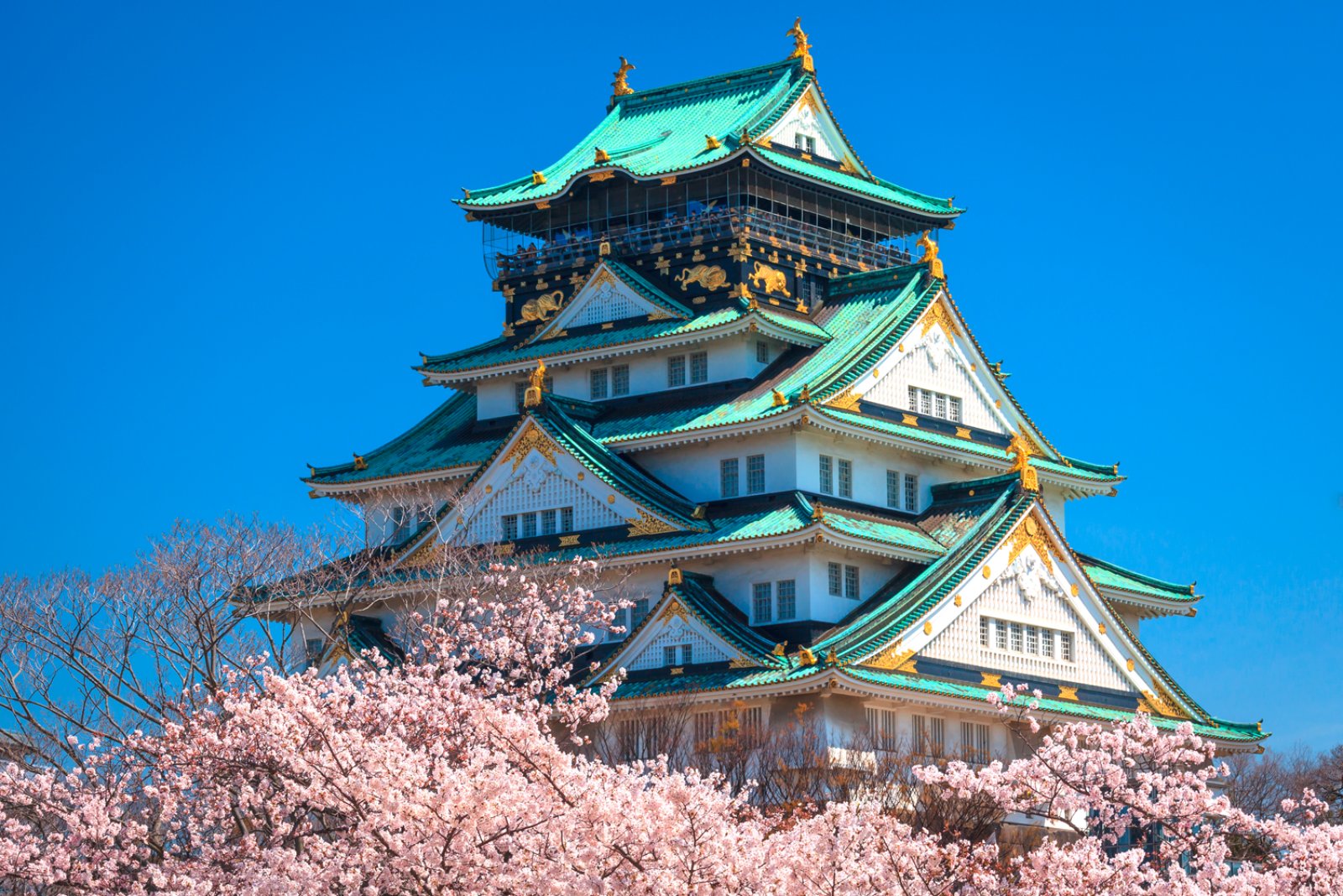 Shikoku E Il Mare Di Seto - Osaka, Castello Durante La Fioritura Dei Ciliegi