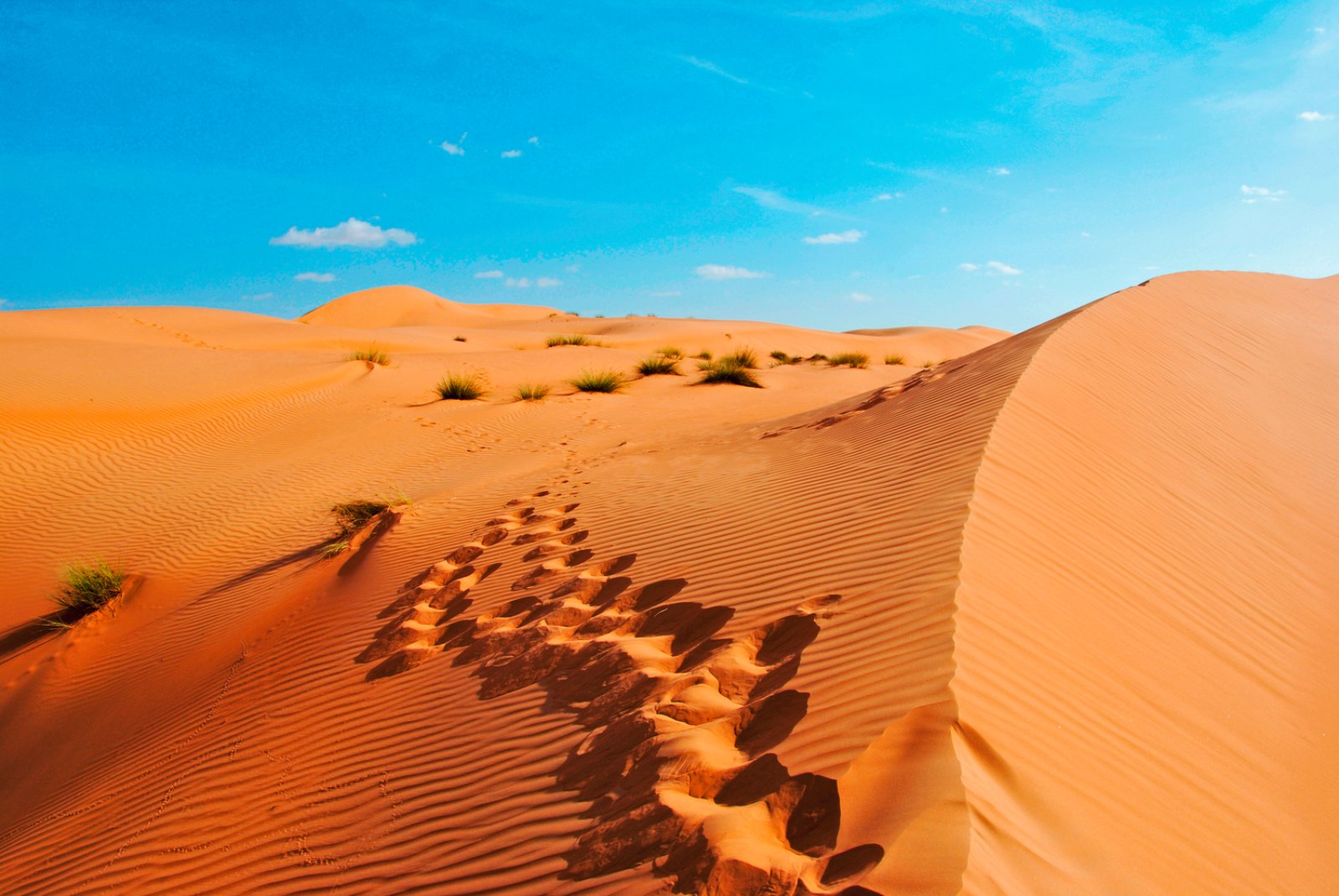 Bravo Esplora Fascino Dell'Oman - Deserto Rub Al Khali