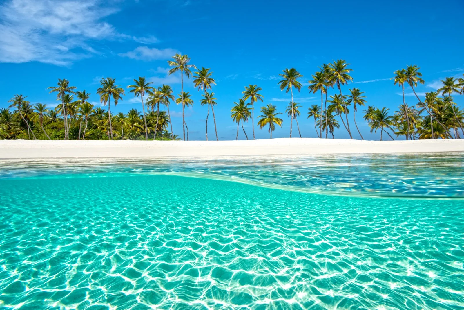Doha E Maldive 