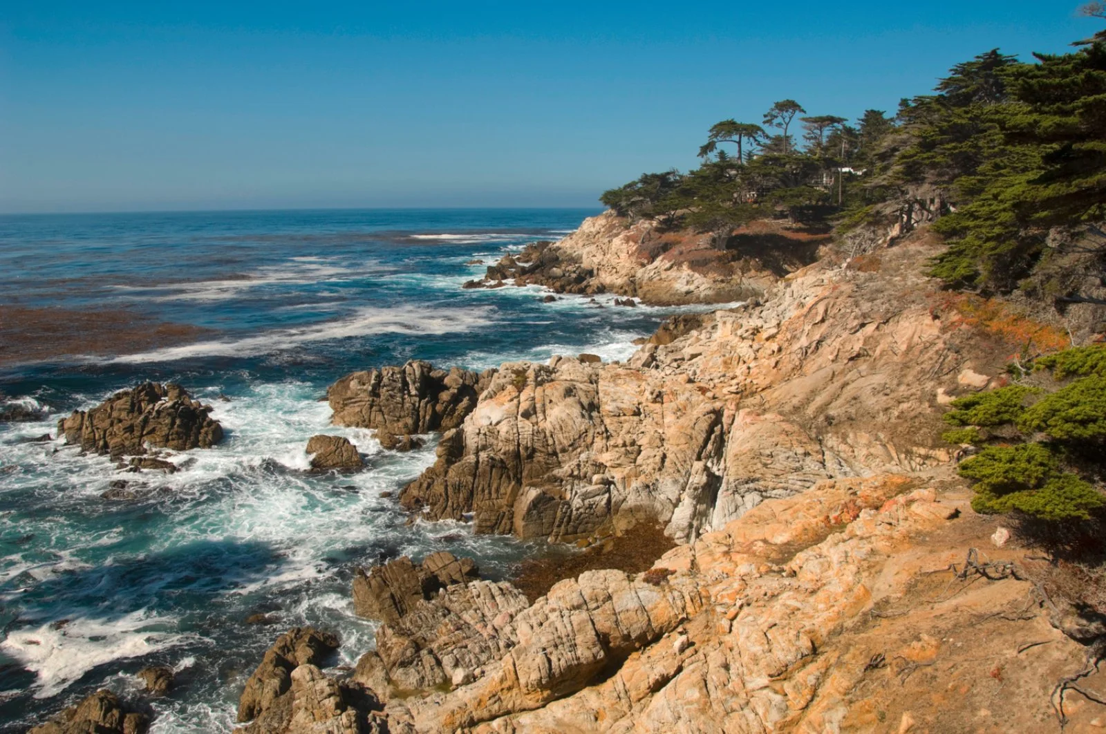 California Express 