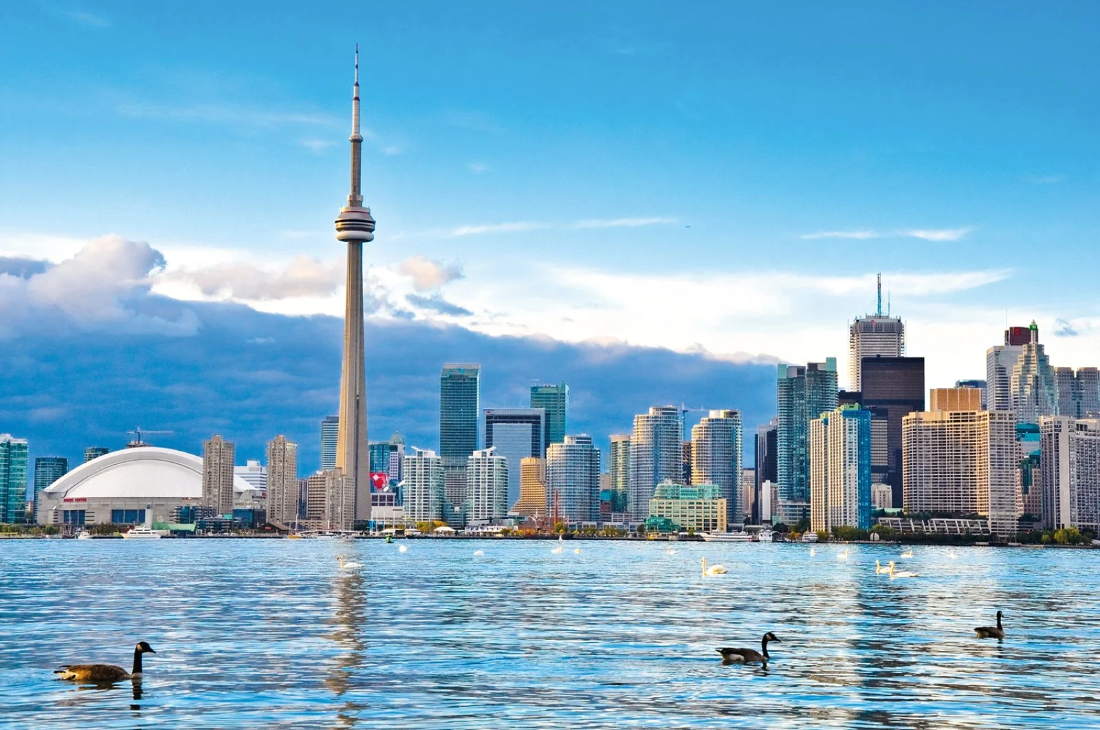 Niagara E Toronto 