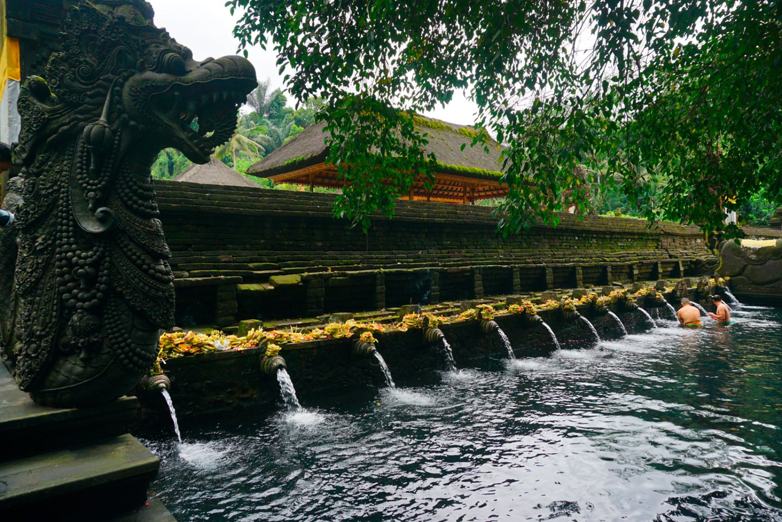 Voyager Bali Bis Voyager Bali Bis