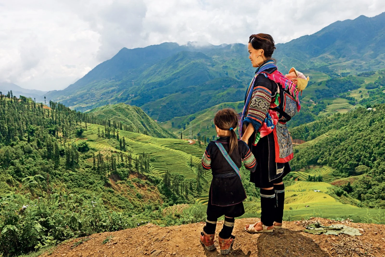 Sapa 