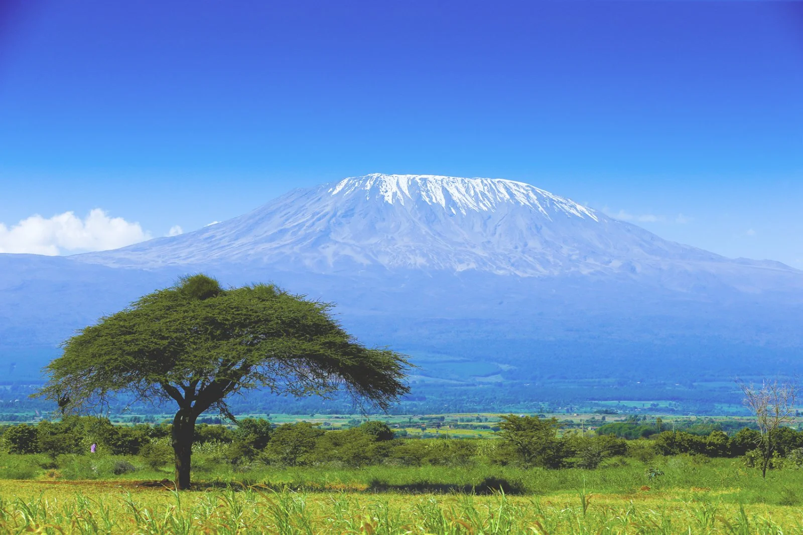 Tsavo Est E Taita Hills - Kilimanjaro