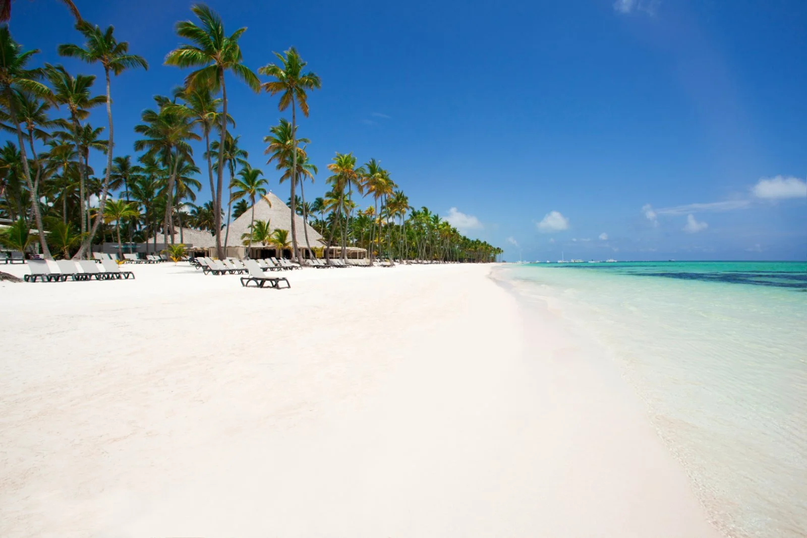 Barcelo' Bavaro Beach 