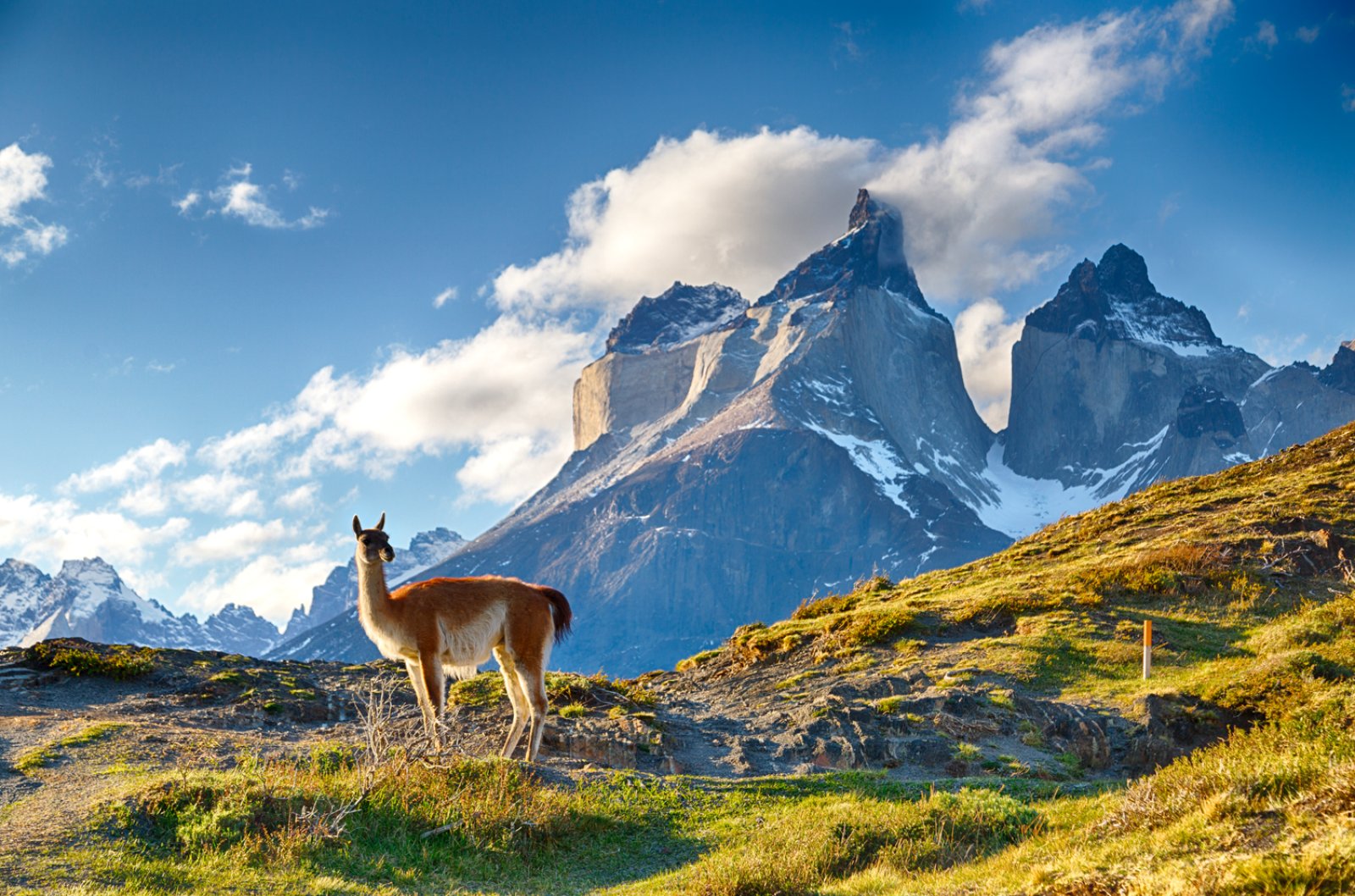 Da El Calafate A Puerto Natales (Patagonia - Calafate) | Alpitour