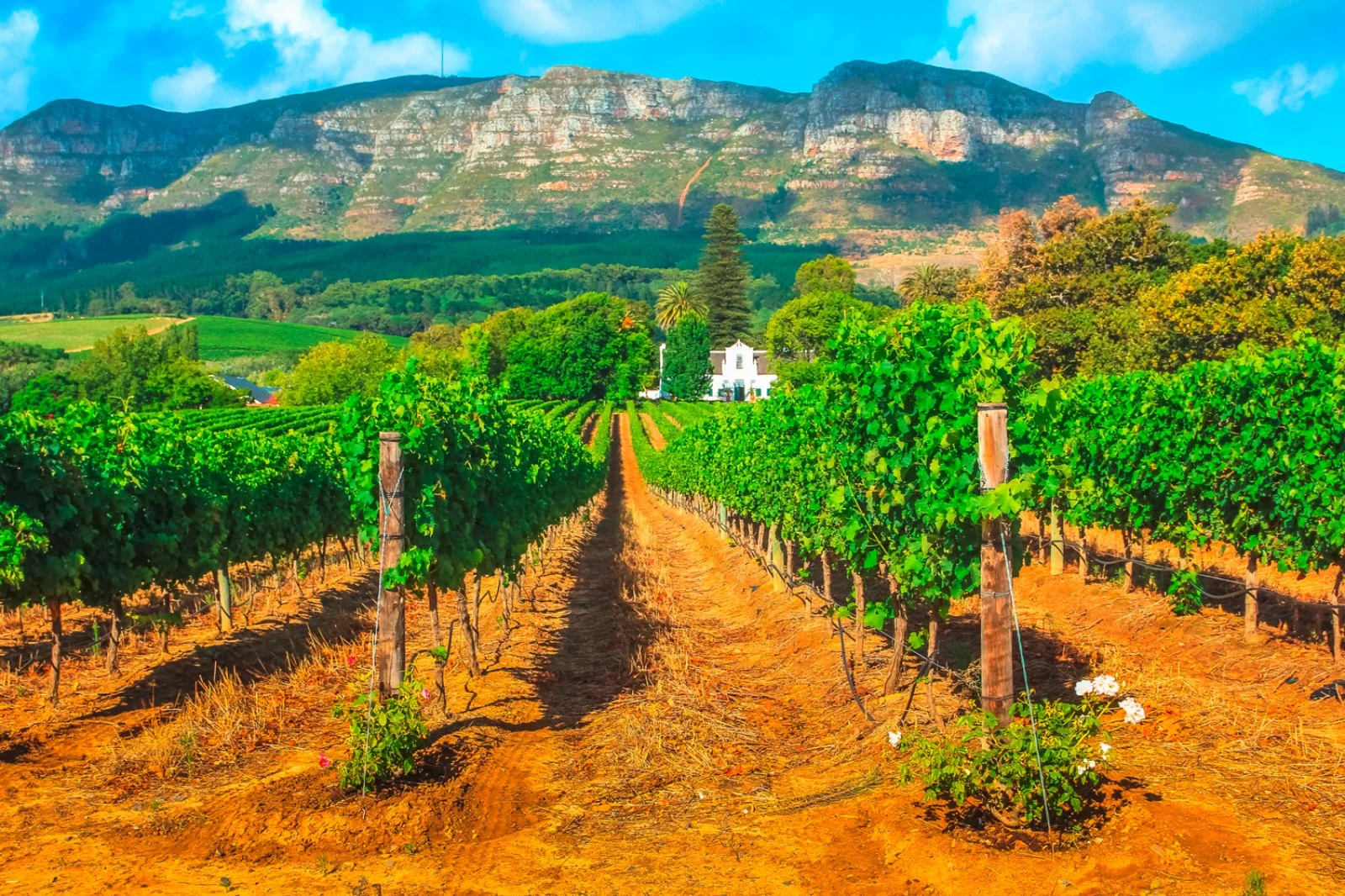 Oudtshoorn - Città del Capo