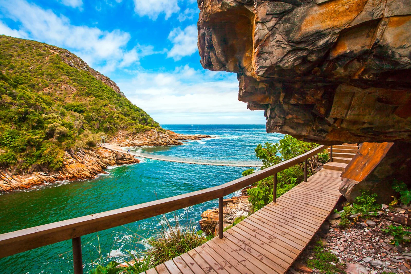 Port Elizabeth -Tsitsikamma Forest - Knysna