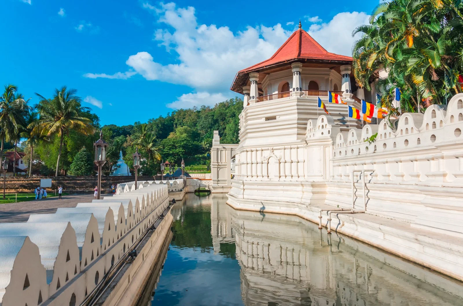 Dambulla - Matale - Kandy