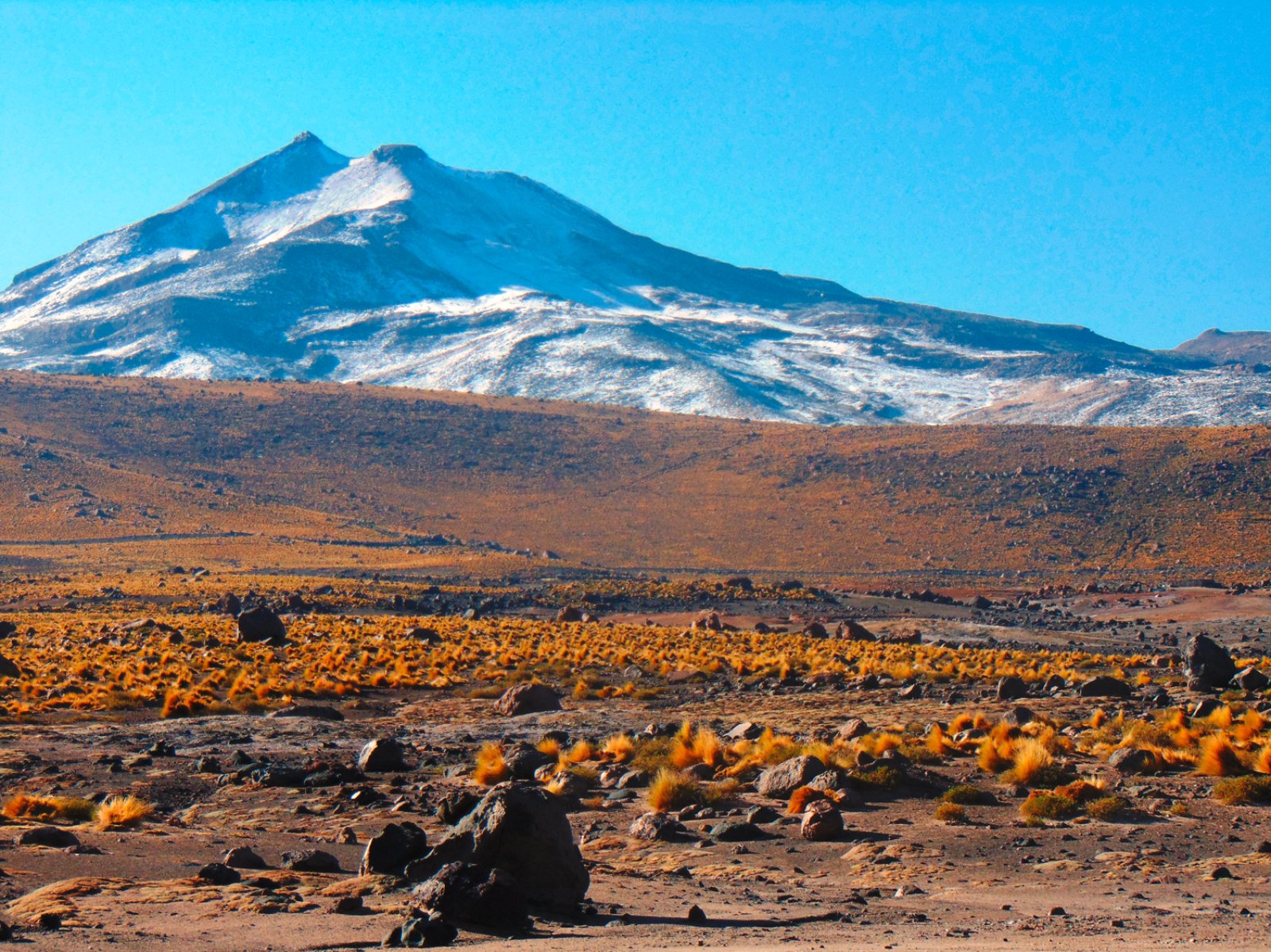 Tour Atacama 