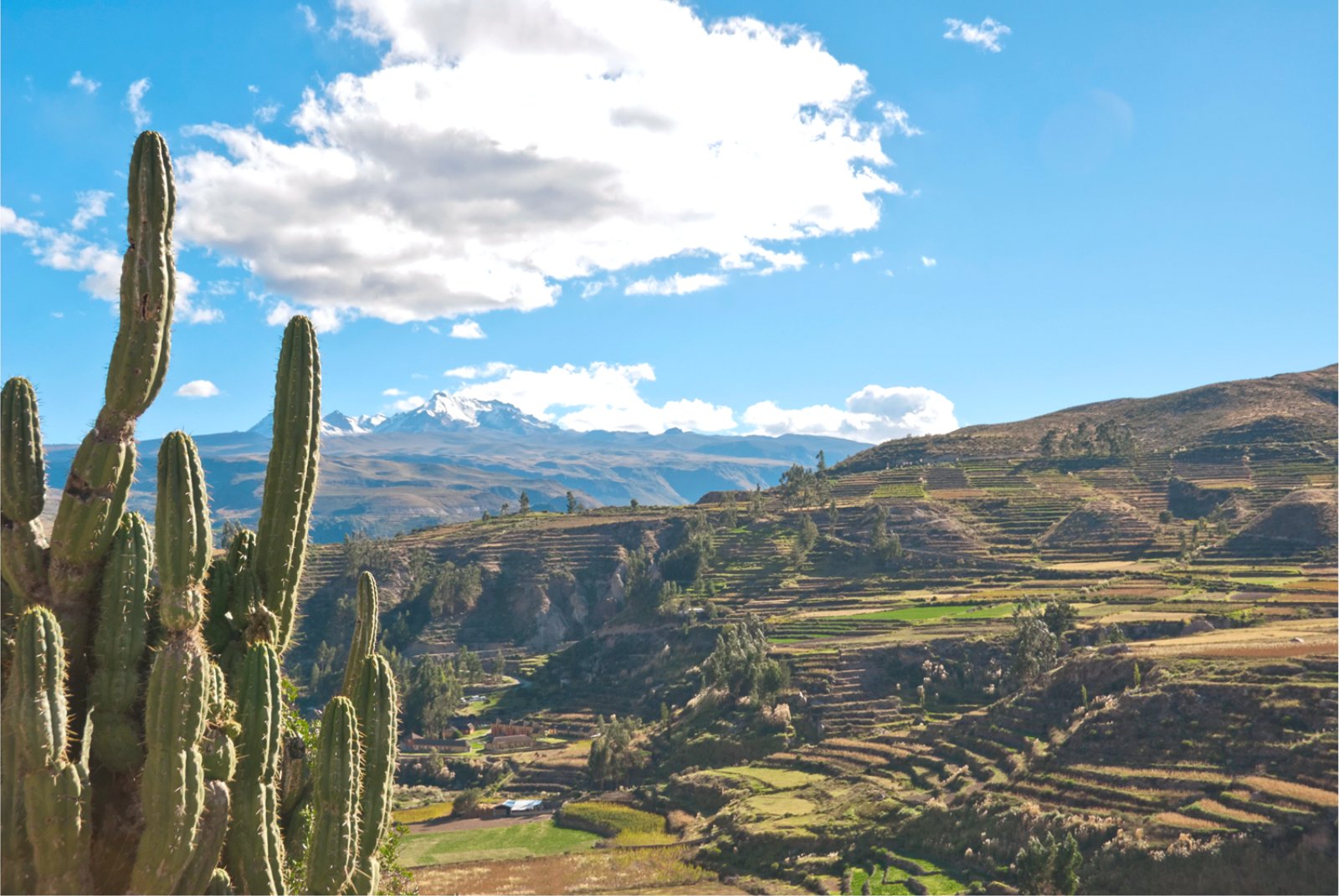 Canyon Del Colca - Valle Del Colca