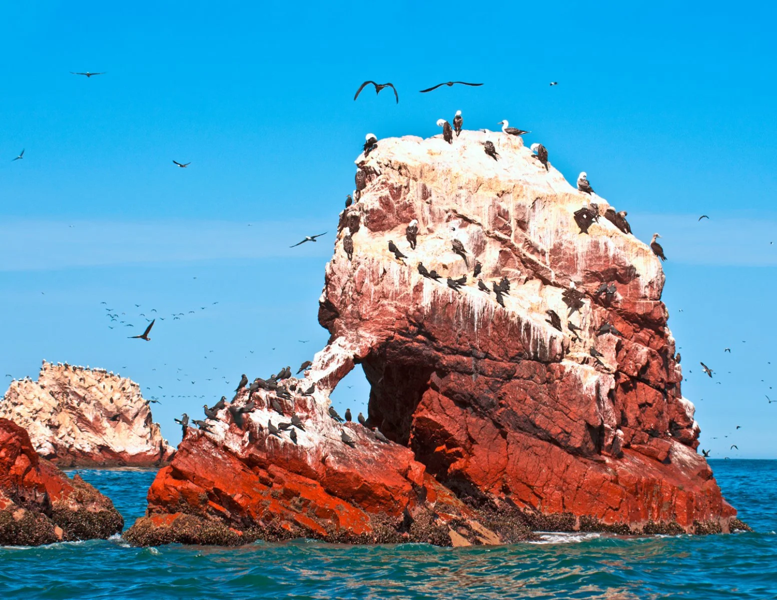 Perù, Isole Ballestas nel Paracas National Park