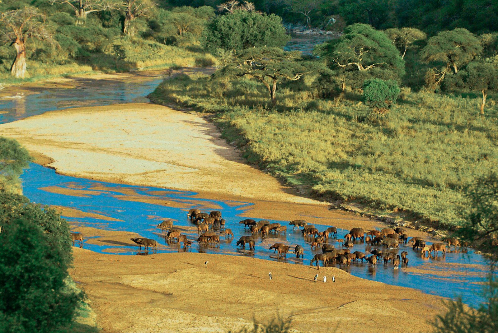 Tsavo Ovest E Taita Hills - Masai Mara National Reserve