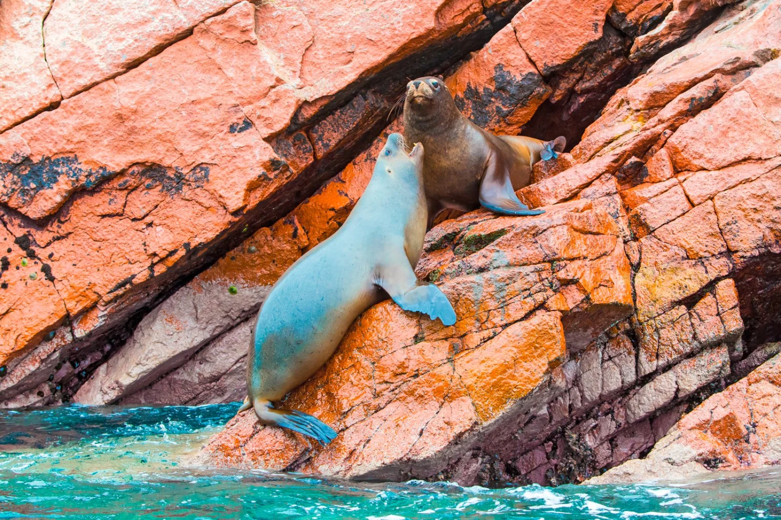 Riserva Di Paracas - Perù, Isole Ballestas Nel Paracas National Park