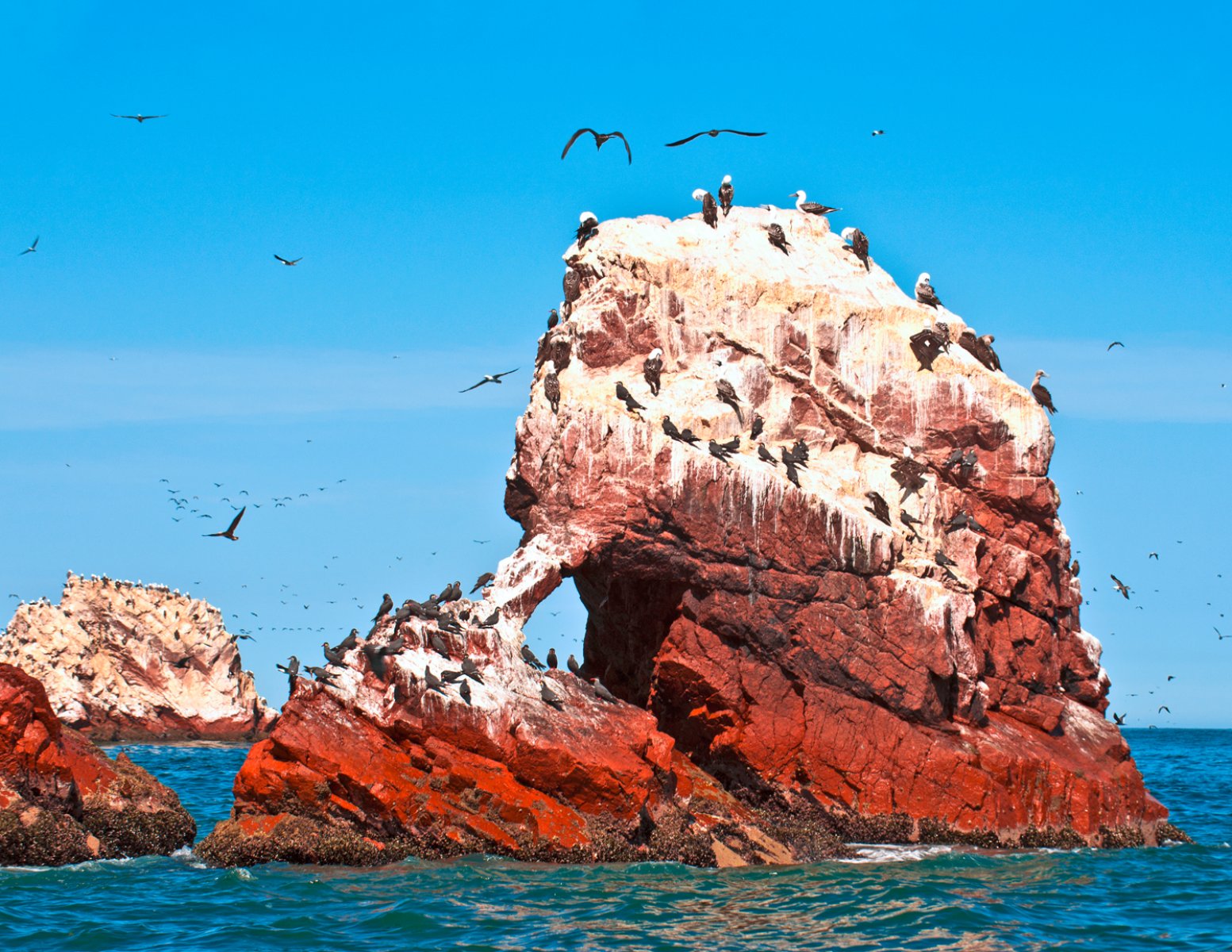 Riserva Di Paracas - Perù, Isole Ballestas Nel Paracas National Park