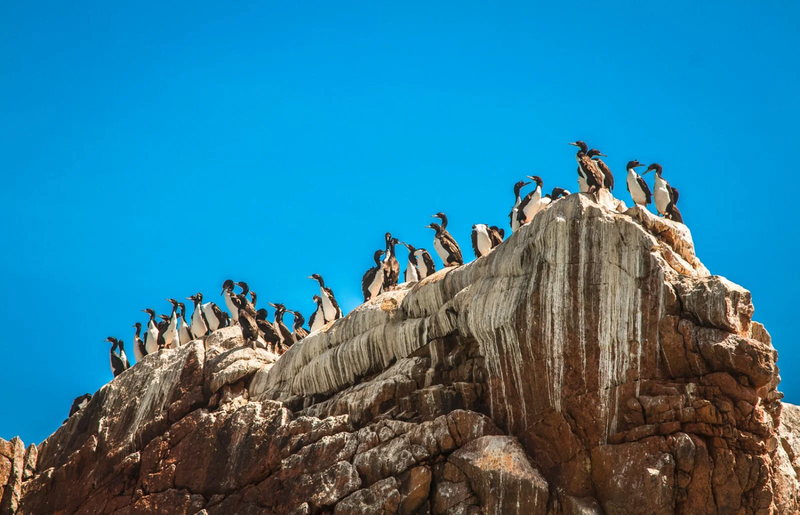 Riserva Di Paracas - Paracas National Reserve