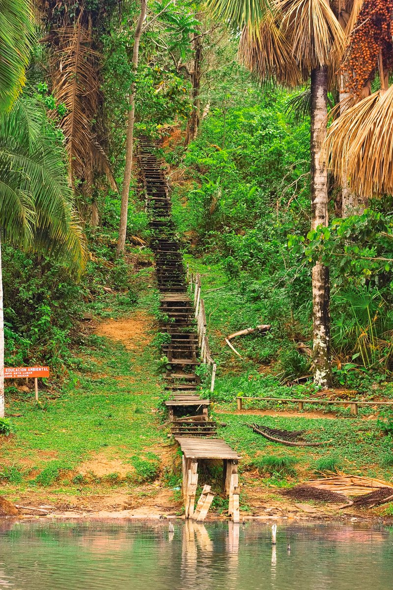 Avventura Amazzonica - Perù, Amazzonia