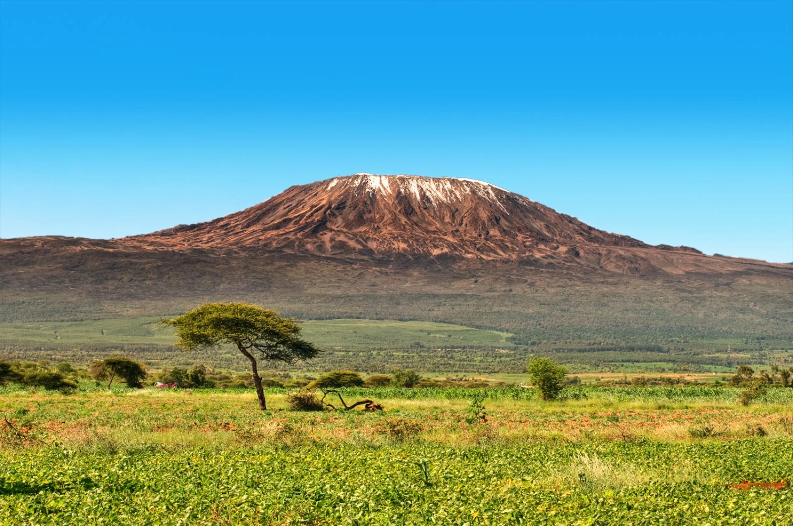 Kilimanjaro Tetto D'Africa - Kilimanjaro