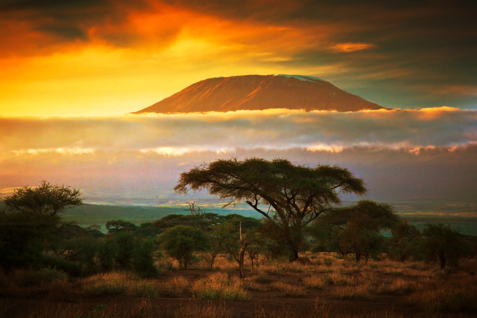 Kilimanjaro, Tetto D'Africa 