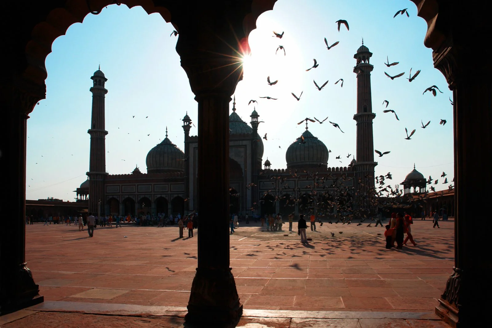 Delhi - Udaipur
