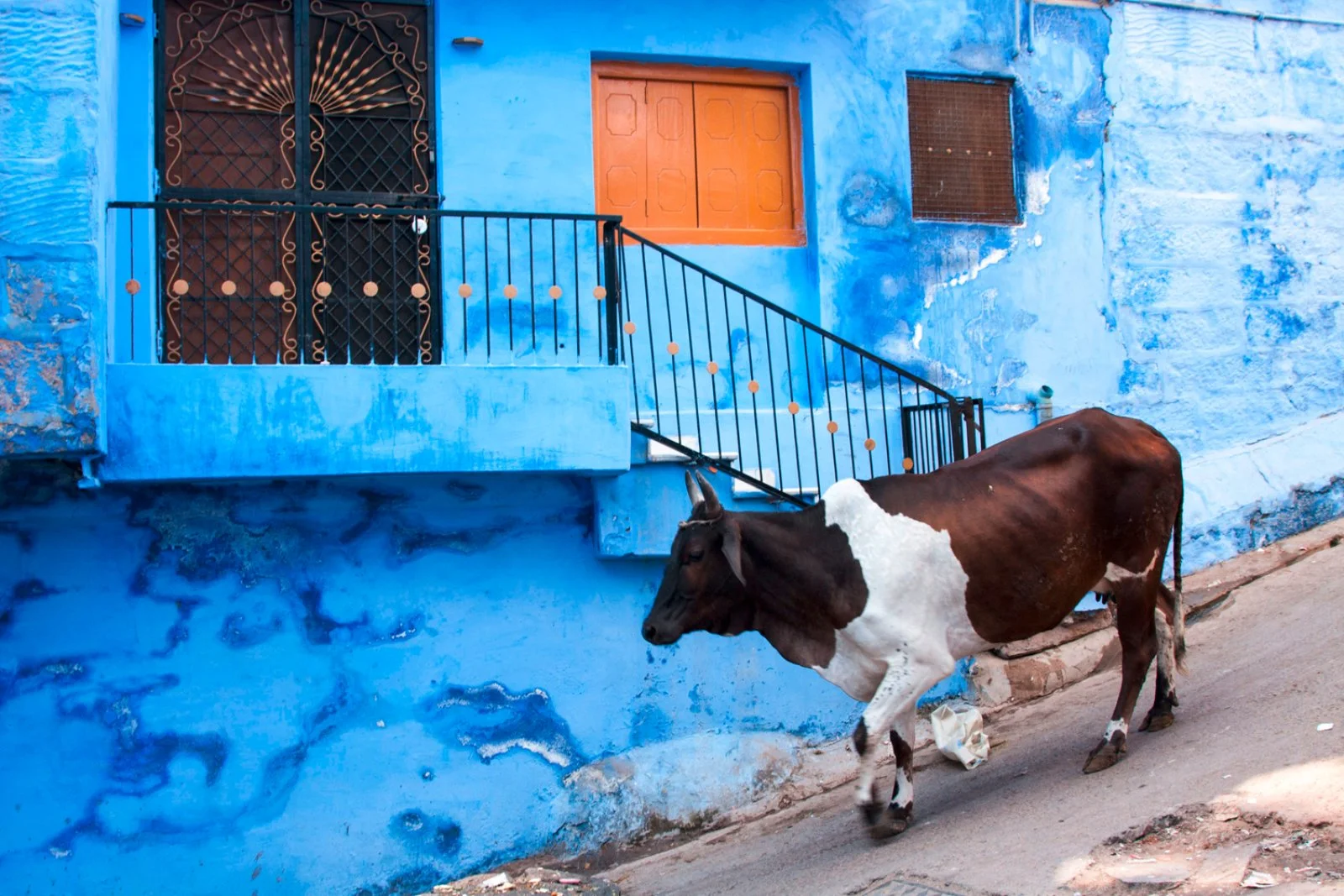 Jodhpur - Jaipur