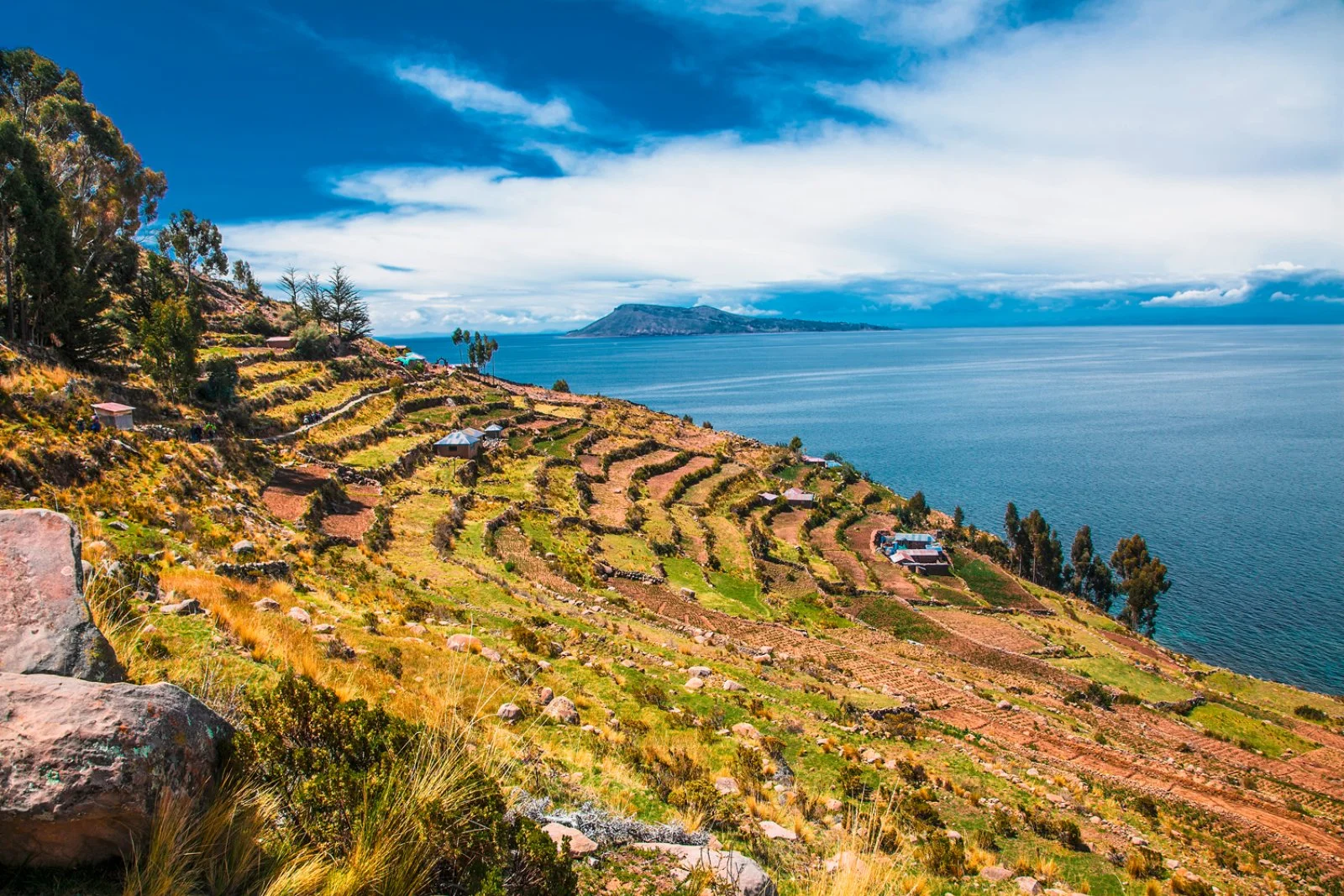Puno