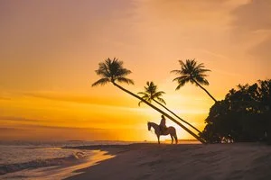 SIYAM WORLD MALDIVES – Maldive