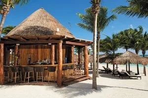 Bar Barracuda
