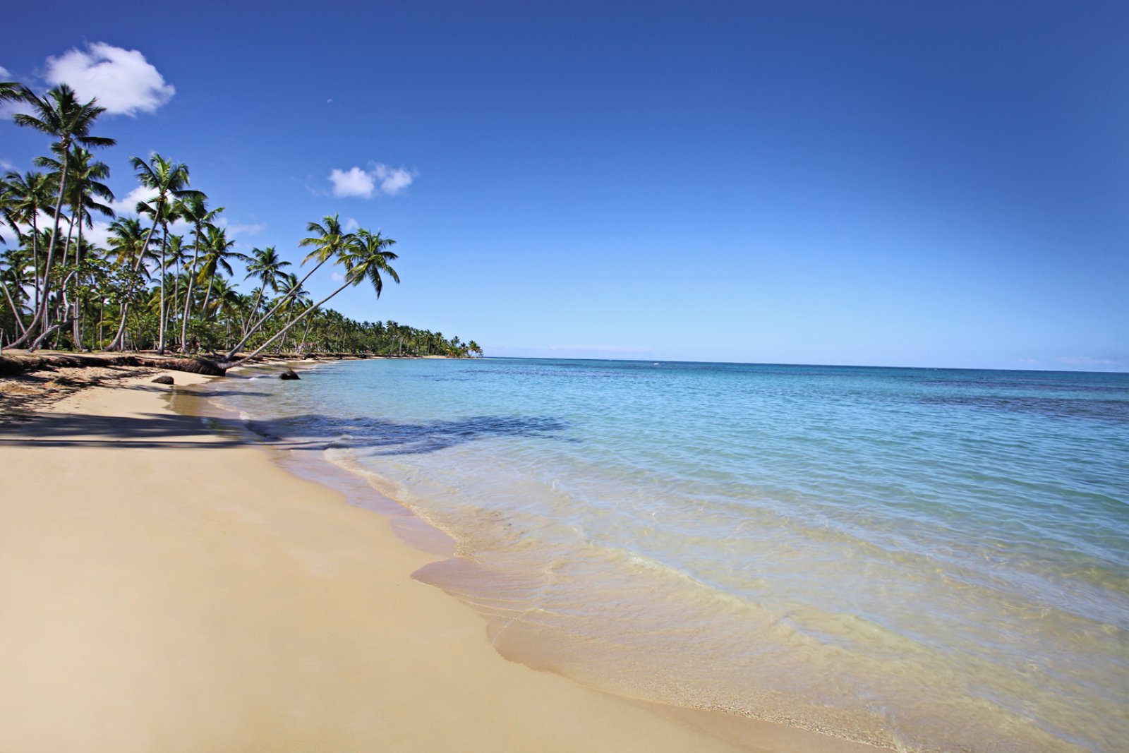 Bahia Principe Grand El Portillo Beach Resort 