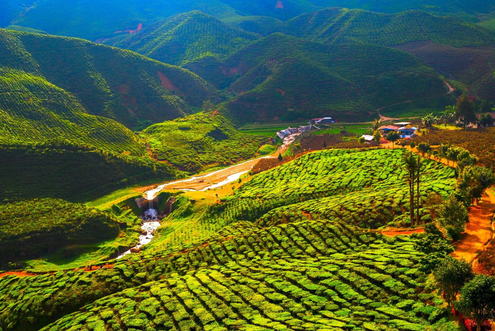 Grand Tour Penisola - Cameron Highlands