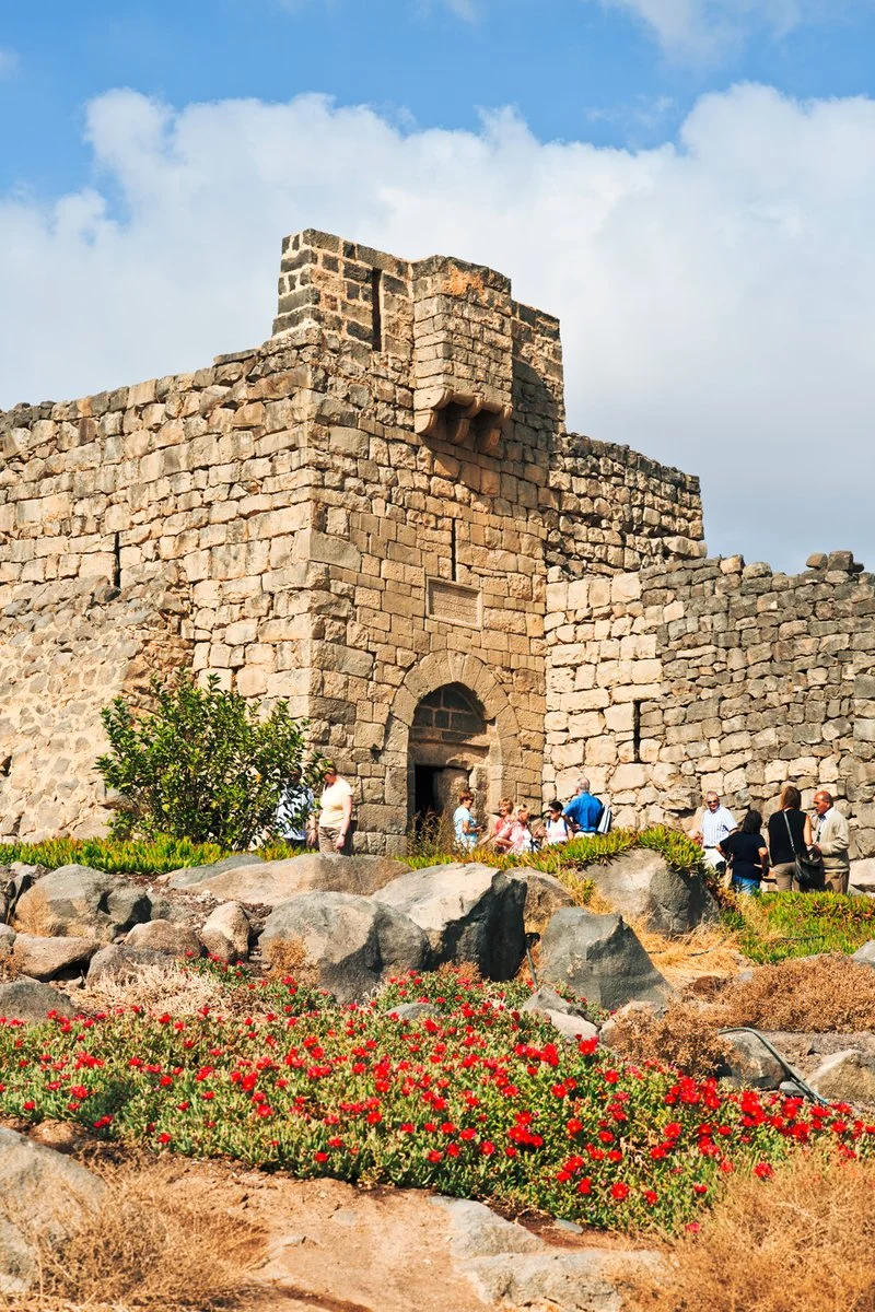 Amman - Castelli del deserto - Amman - immagine 2 di 2