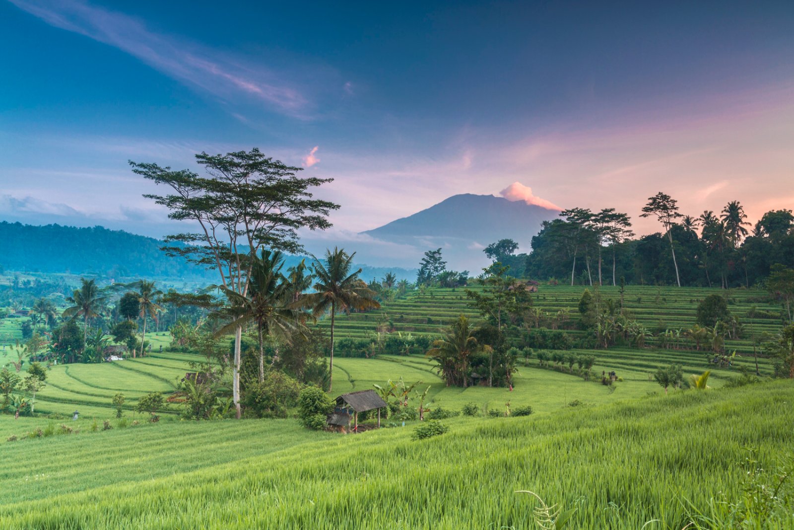 Voyager Bali E Lombok - Bali