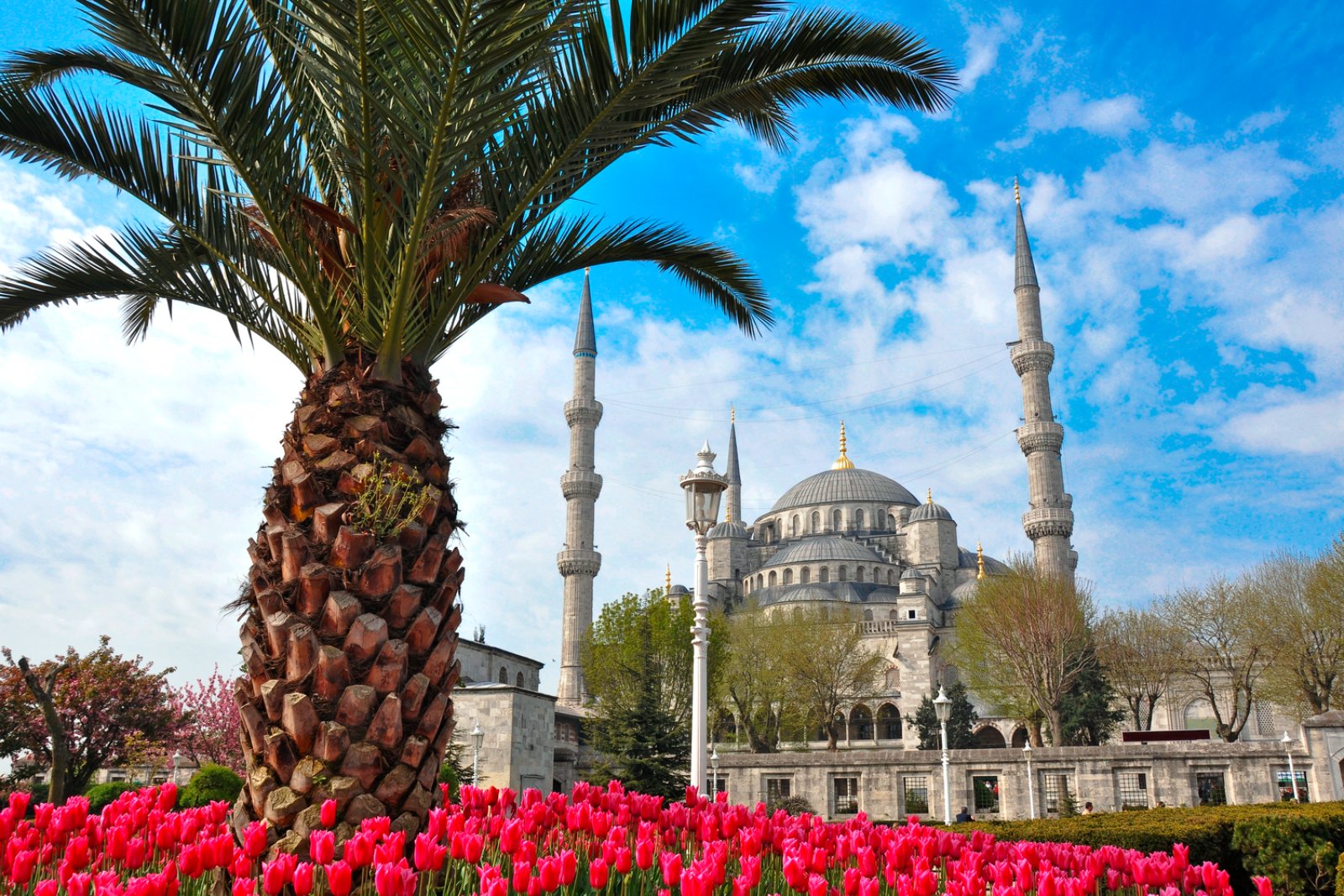 Voyager Turchia - Istanbul, Moschea Blu